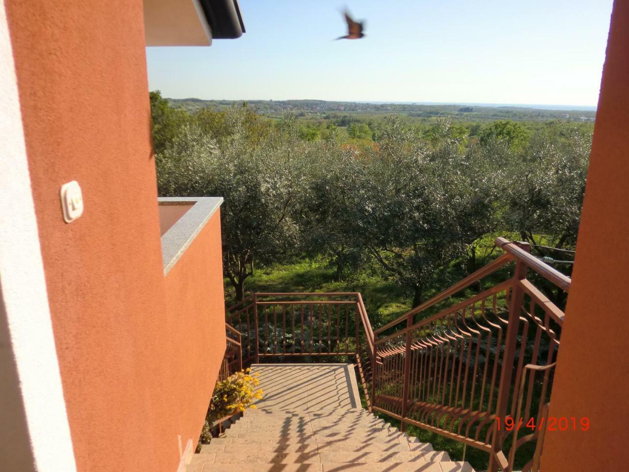 Apartment Zita With 1 Bedroom In Relaxing Surroundings Near Umag Exterior foto